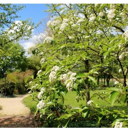 D'hotes Les Vignes 3* Montcet