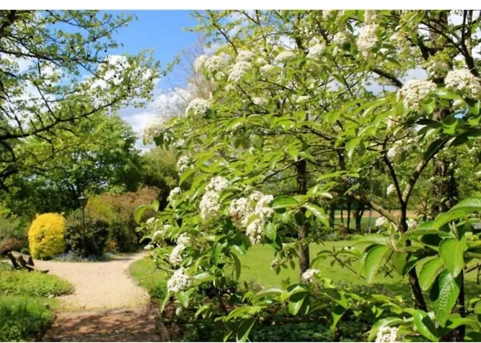 D'hotes Les Vignes 3* Montcet